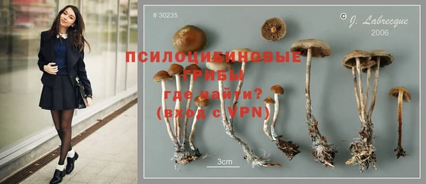 соль курить ск Фёдоровский