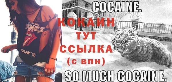 крисы Ессентукская
