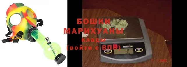 крисы Ессентукская