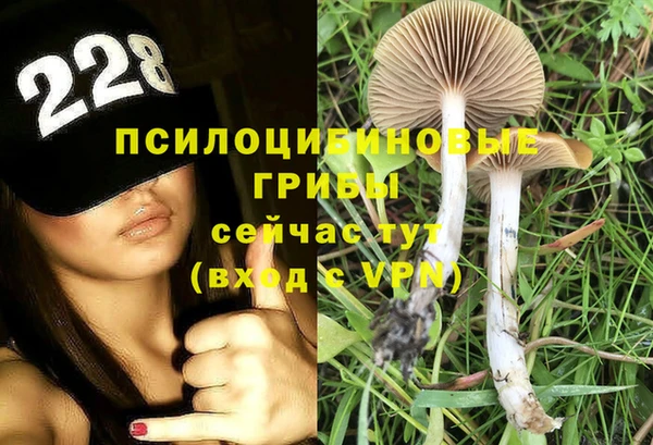 каннабис Нестеровская