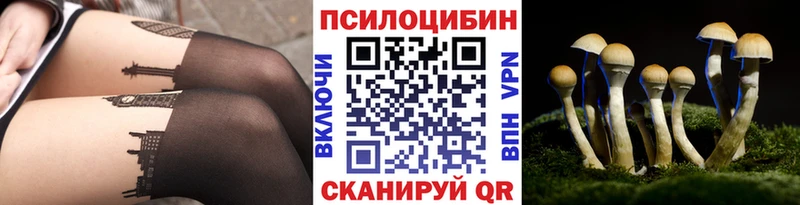 kraken как войти Кемерово Псилоцибиновые грибы Psilocybe
