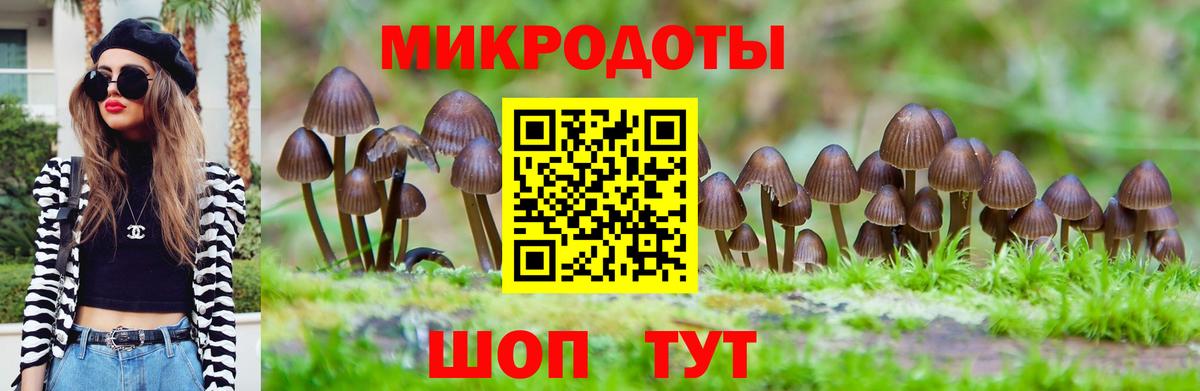 где купить наркоту  Вход с VPN  Псилоцибиновые грибы мицелий  Россия  Галлюциногенные грибы Cubensis 