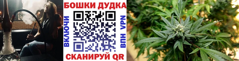 купить наркотик  Кемерово  mega ссылки  Бошки Шишки VHQ 