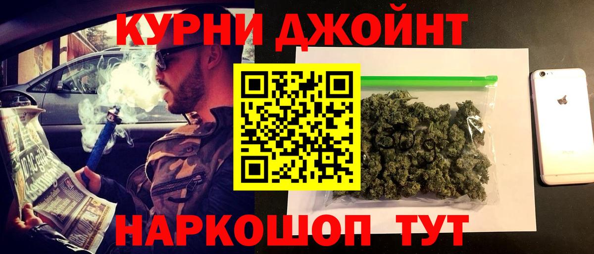 Конопля ГИДРОПОН  Каннабис сатива  Россия  Вход с VPN 